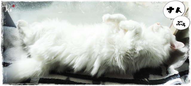 f:id:nyan-chuke:20201123153626j:plain