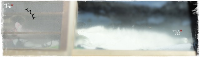 f:id:nyan-chuke:20201124125019j:plain