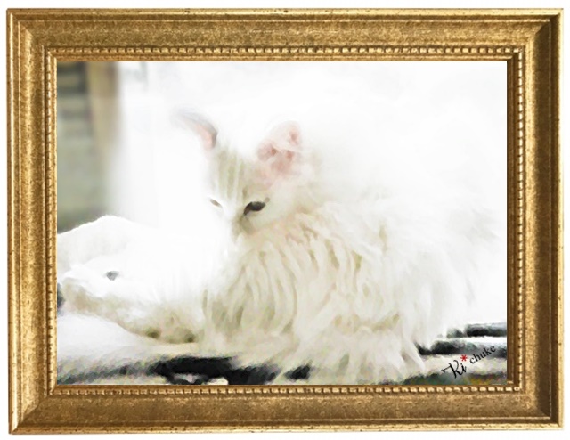 f:id:nyan-chuke:20201124231904j:plain