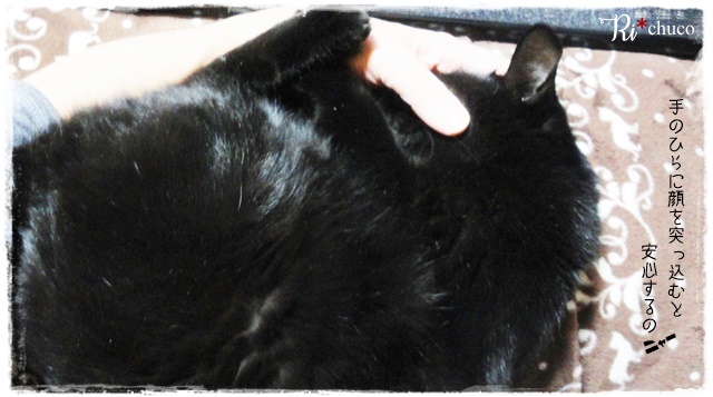 f:id:nyan-chuke:20201126140405j:plain