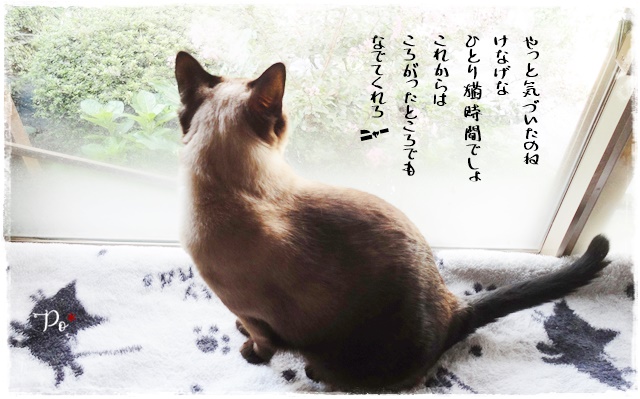 f:id:nyan-chuke:20201126160218j:plain