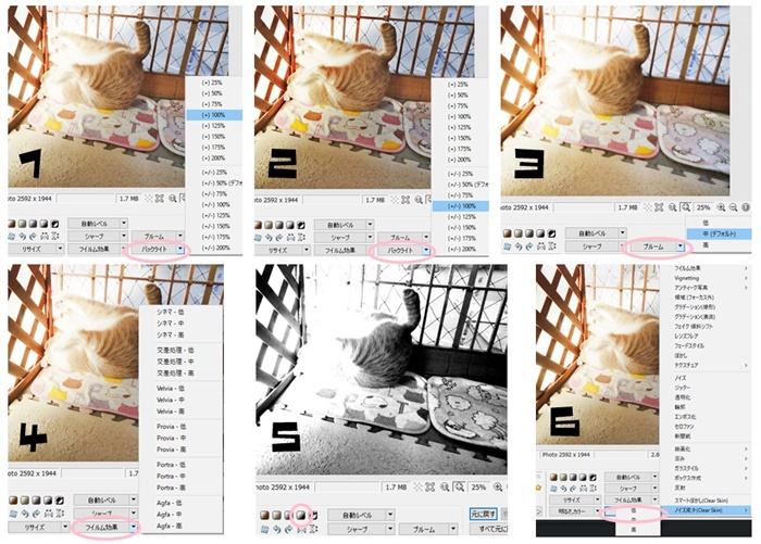 f:id:nyan-chuke:20201209145011j:plain