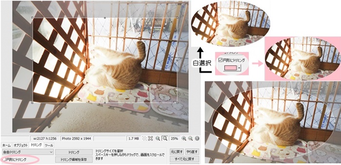 f:id:nyan-chuke:20201209145214j:plain