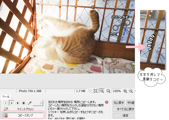 f:id:nyan-chuke:20201209145258j:plain