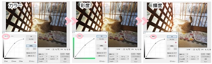 f:id:nyan-chuke:20201211145827j:plain