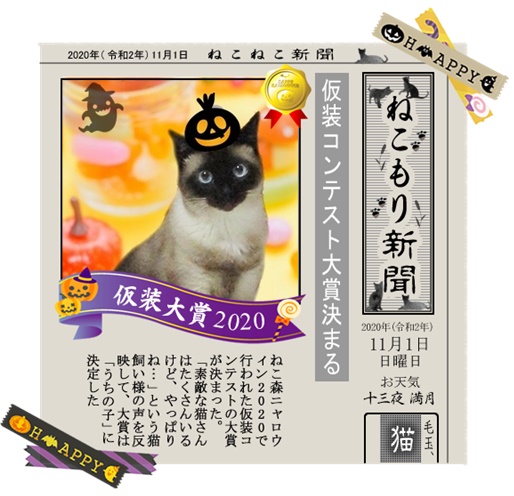 f:id:nyan-chuke:20201211200442j:plain