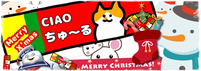f:id:nyan-chuke:20201219190007j:plain