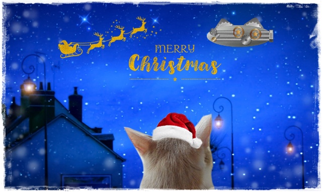 f:id:nyan-chuke:20201230012816j:plain