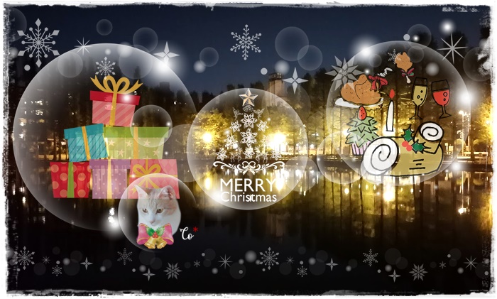 f:id:nyan-chuke:20201230200911j:plain