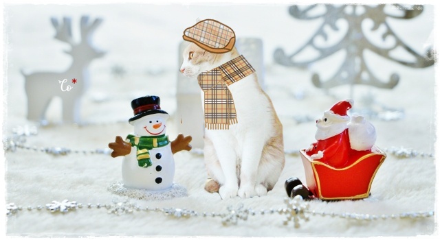 f:id:nyan-chuke:20201231040634j:plain