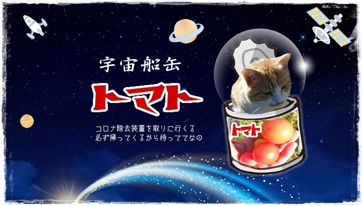 f:id:nyan-chuke:20201231040923j:plain