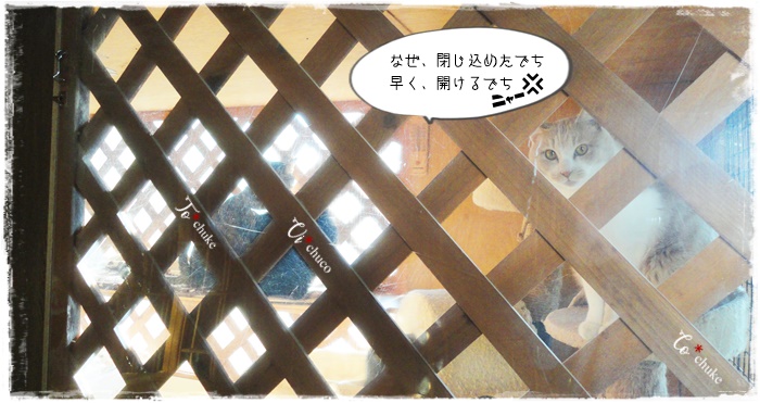 f:id:nyan-chuke:20210108204104j:plain