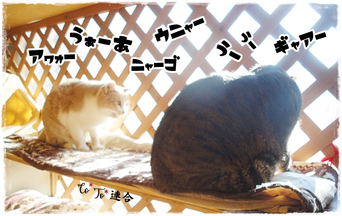 f:id:nyan-chuke:20210109004946j:plain