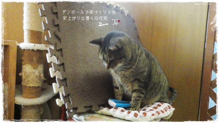 f:id:nyan-chuke:20210109135924j:plain