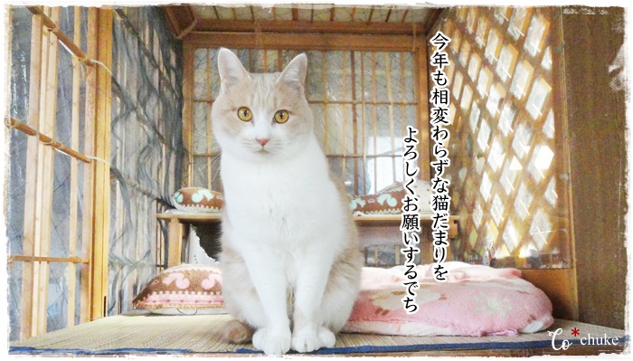 f:id:nyan-chuke:20210110161110j:plain