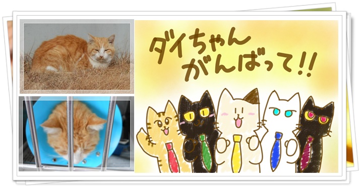 f:id:nyan-chuke:20210212012240j:plain