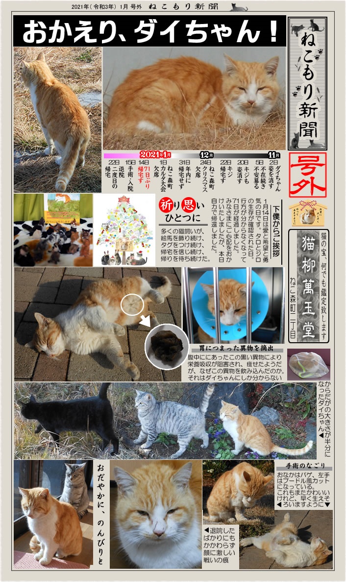 f:id:nyan-chuke:20210314214832j:plain