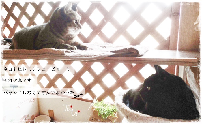 f:id:nyan-chuke:20210421164007j:plain