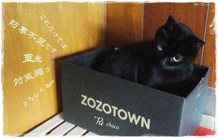 f:id:nyan-chuke:20211113221502j:plain
