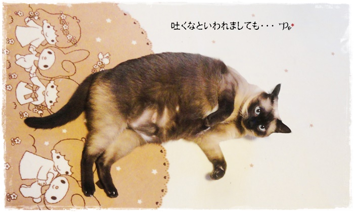 f:id:nyan-chuke:20211113225916j:plain