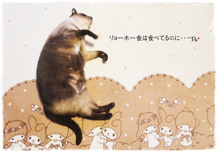 f:id:nyan-chuke:20211113230548j:plain