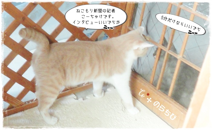 f:id:nyan-chuke:20211114002800j:plain
