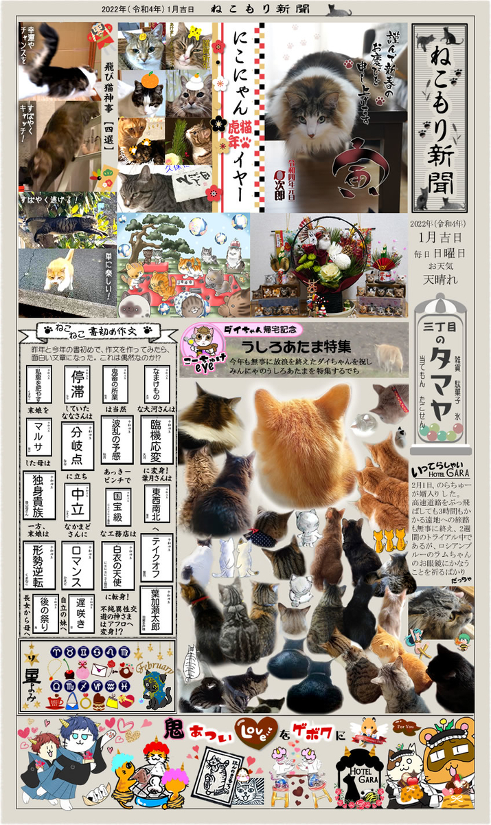 f:id:nyan-chuke:20220207013809j:plain