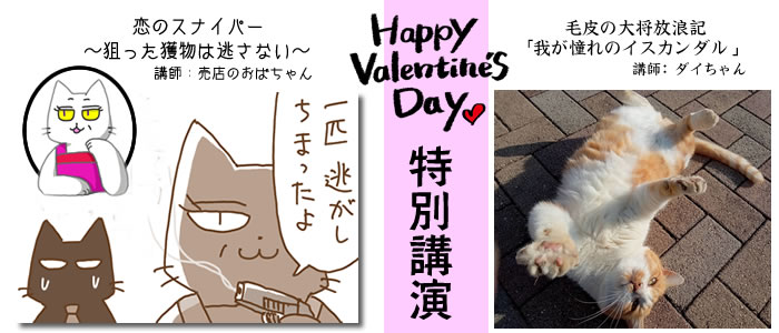 f:id:nyan-chuke:20220214055340j:plain