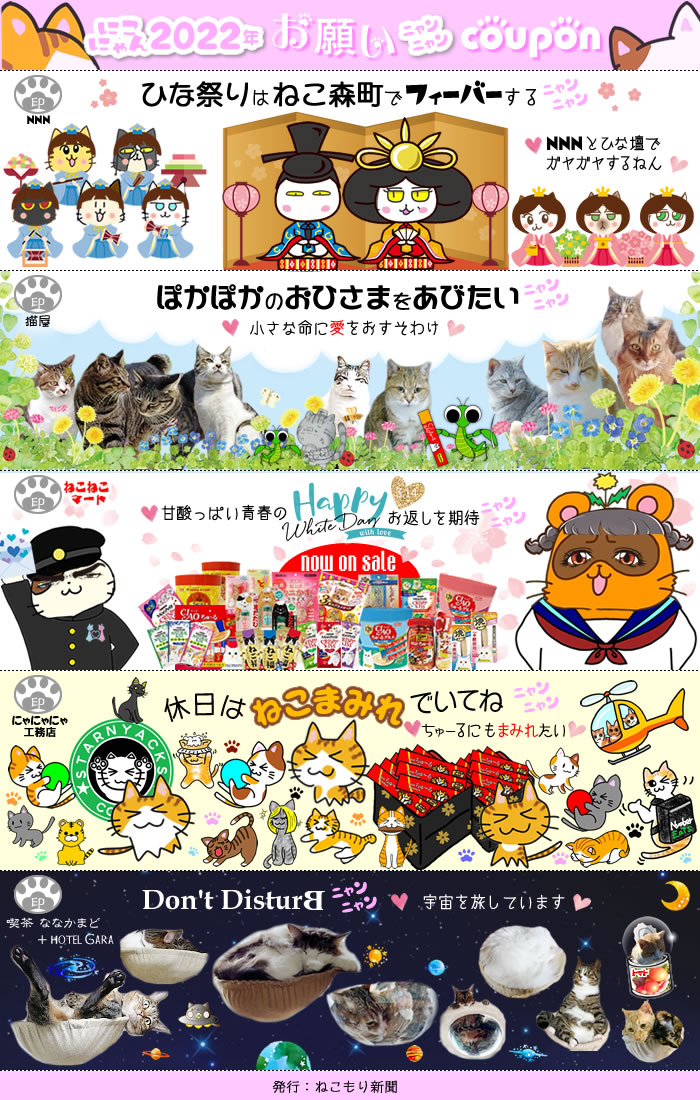 f:id:nyan-chuke:20220225234321j:plain