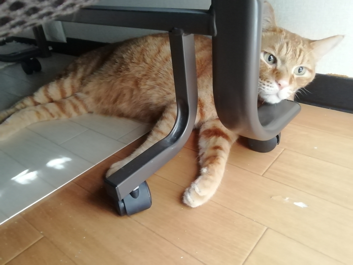 f:id:nyan1982:20200908083426j:plain