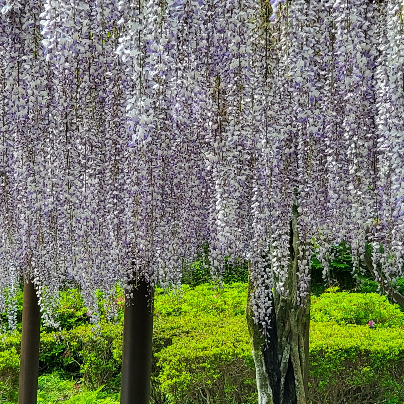 f:id:nyan96213:20260425233621j:image