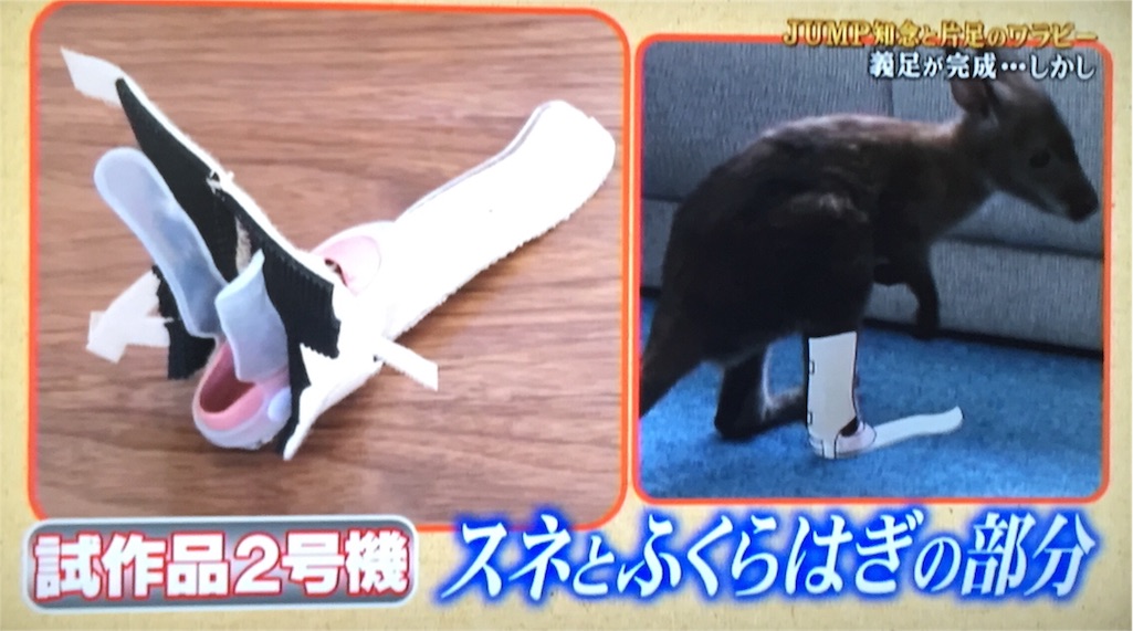 f:id:nyanYC:20160925231758j:image f:id:nyanYC:20160925231758j:image