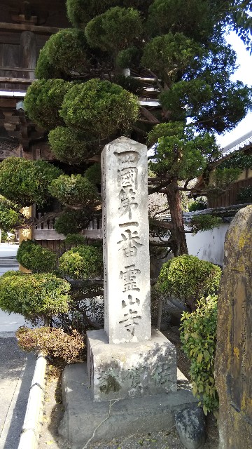 f:id:nyanarata:20200621142559j:image f:id:nyanarata:20200621142559j:image