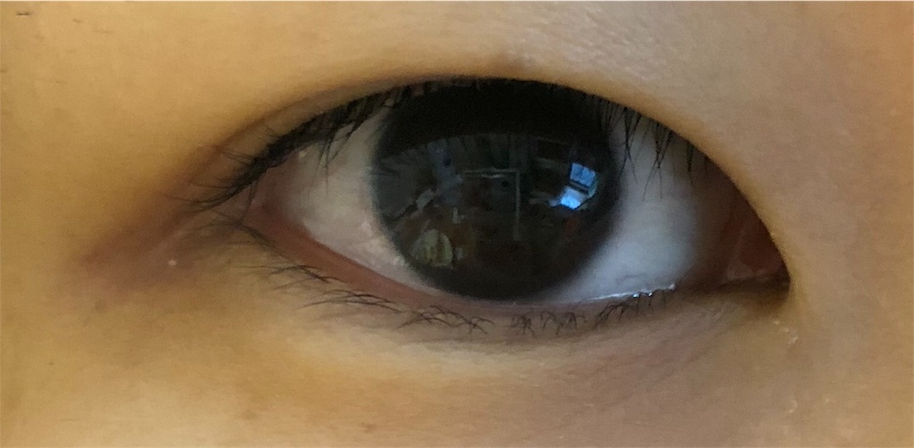 f:id:nyanco15:20180204125628j:image f:id:nyanco15:20180204125628j:image