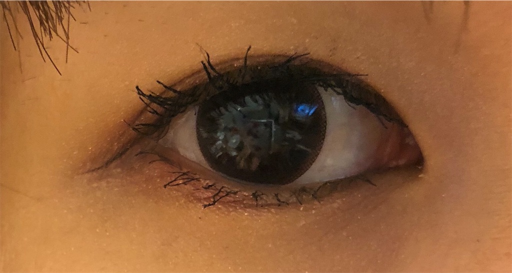 f:id:nyanco15:20180204125649j:plain f:id:nyanco15:20180204125649j:plain