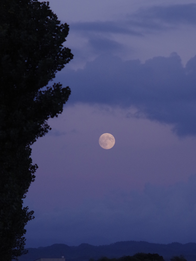 f:id:nyancotan:20150927172230j:plain