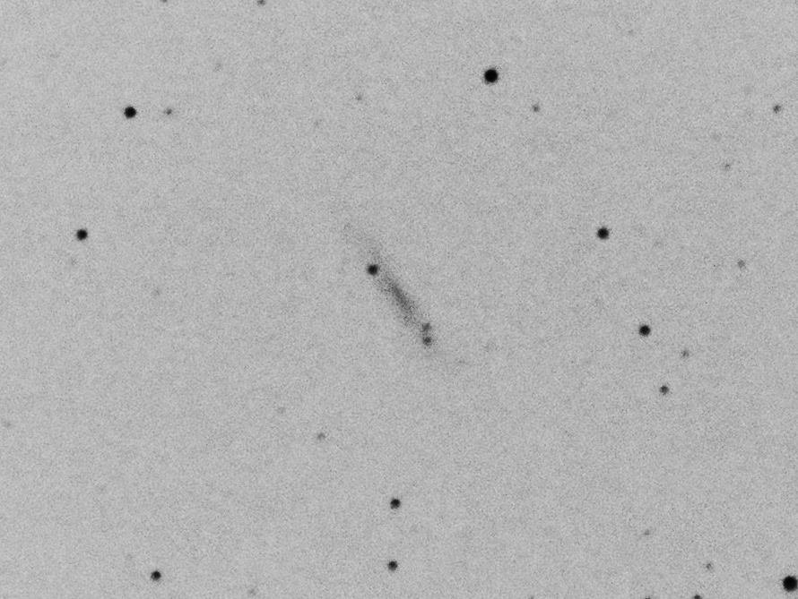 f:id:nyancotan:20160803070649j:plain f:id:nyancotan:20160803070649j:plain