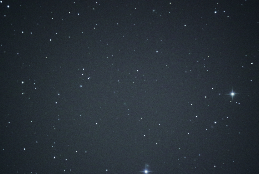 f:id:nyancotan:20161110072417j:plain