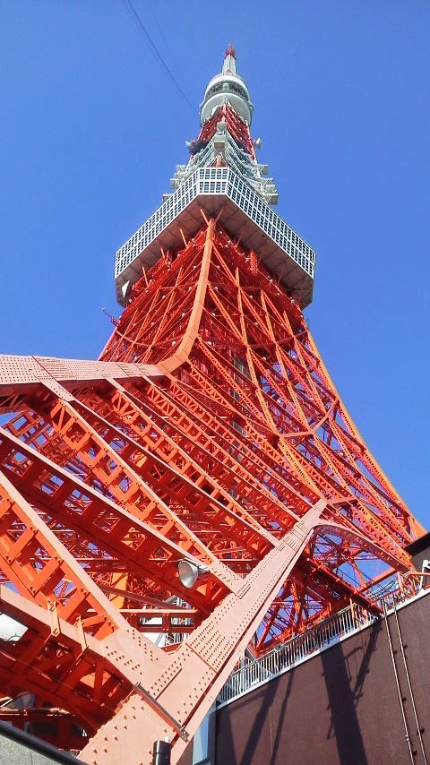 f:id:nyancotan:20161118120500j:plain