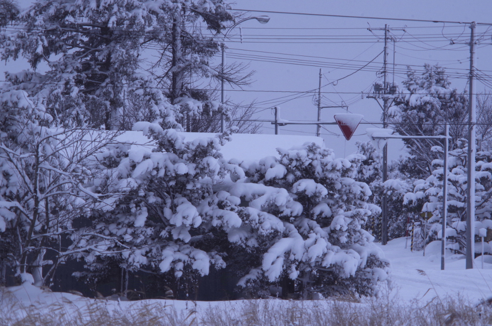 f:id:nyancotan:20161129135915j:plain