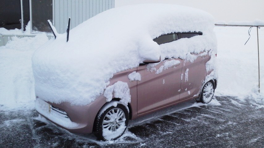 f:id:nyancotan:20161130075455j:plain