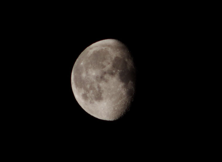 f:id:nyancotan:20161218073709j:plain