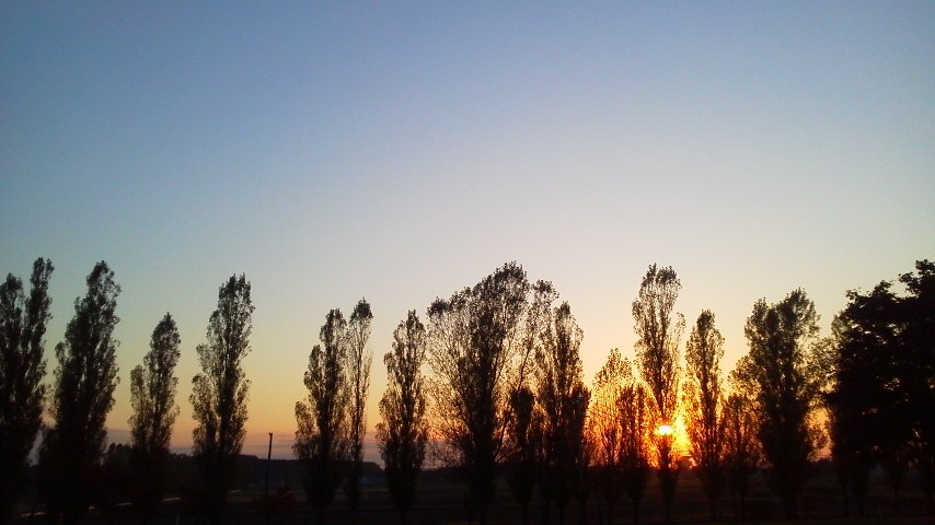 f:id:nyancotan:20171019162700j:plain f:id:nyancotan:20171019162700j:plain