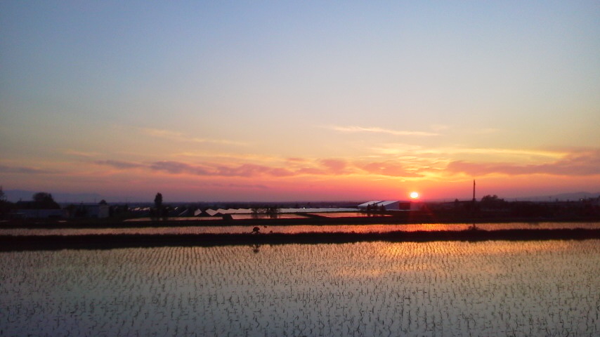 f:id:nyancotan:20180520184900j:plain