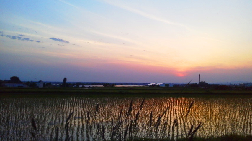 f:id:nyancotan:20180604185700j:plain