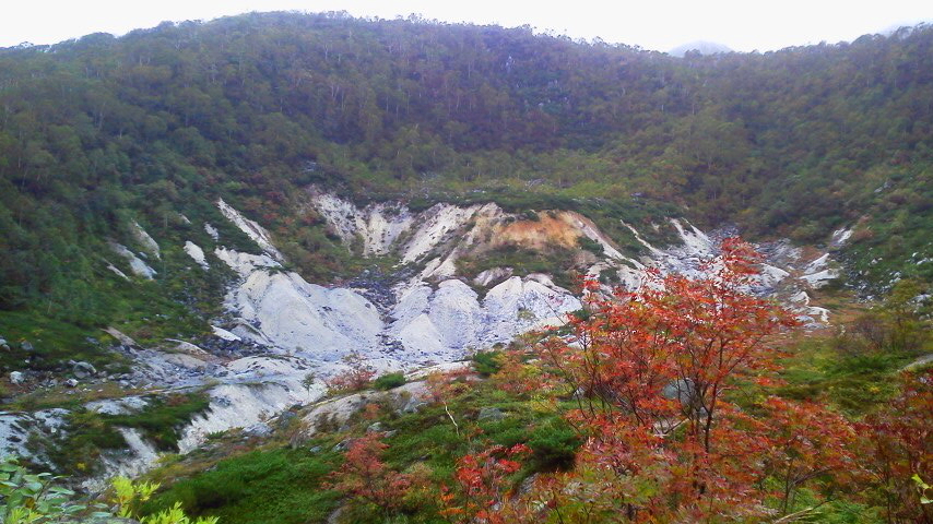 f:id:nyancotan:20180922122300j:plain