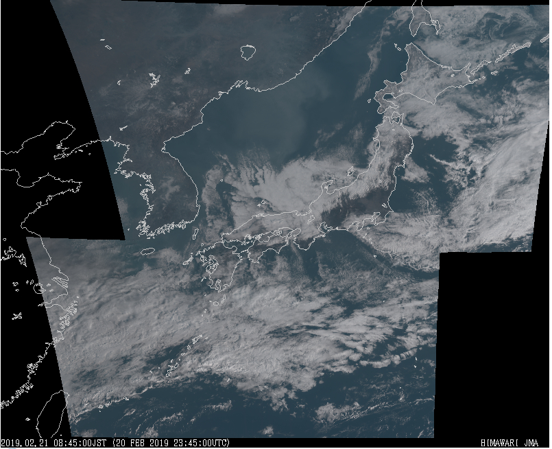 f:id:nyancotan:20190222083449j:plain f:id:nyancotan:20190222083449j:plain