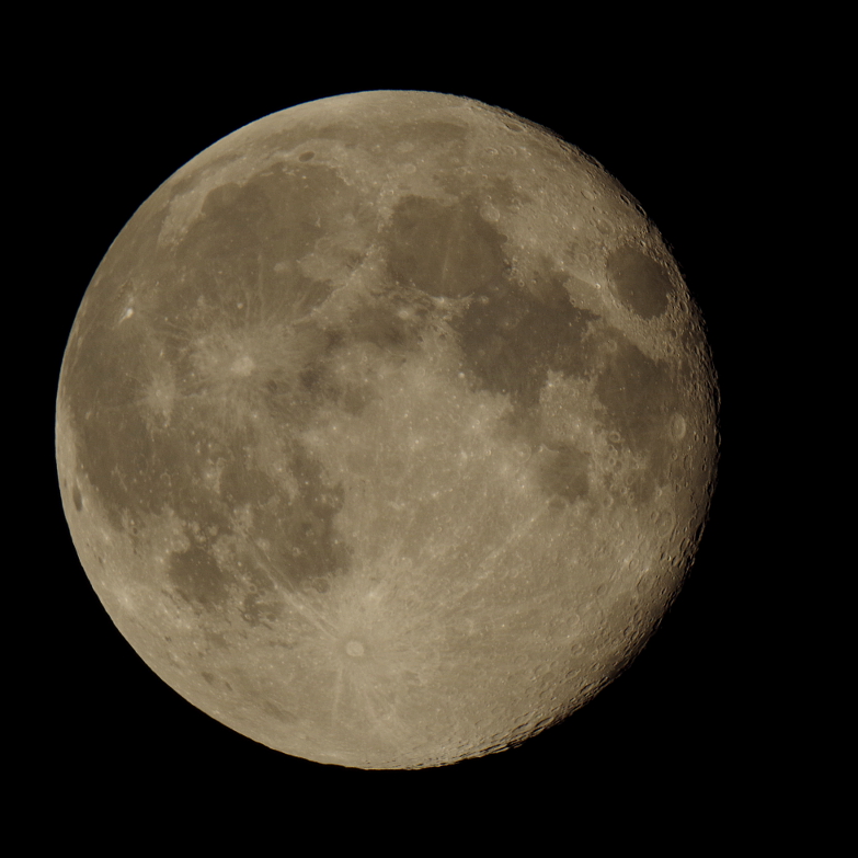 f:id:nyancotan:20190421042630j:plain f:id:nyancotan:20190421042630j:plain
