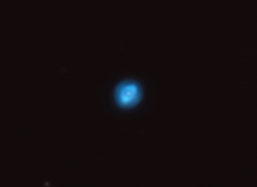 f:id:nyancotan:20190424065346j:plain