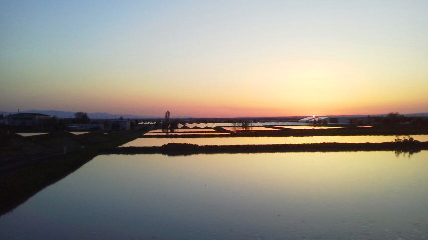 f:id:nyancotan:20190512184500j:plain